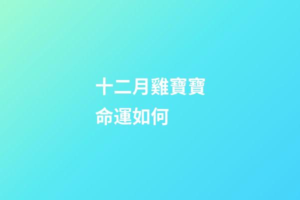 十二月雞寶寶命運如何 (十二月的雞寶寶好嗎)-第1張-觀點-玄機派